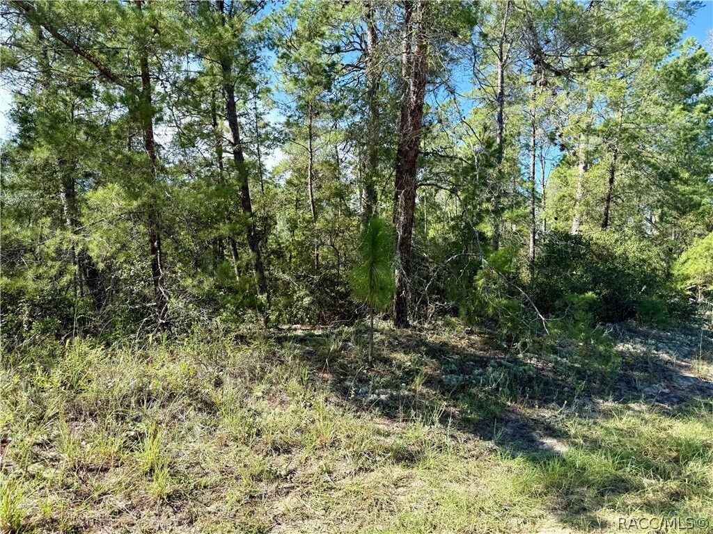 Property Photo: 4419 W Malaluka Circle FL 34433