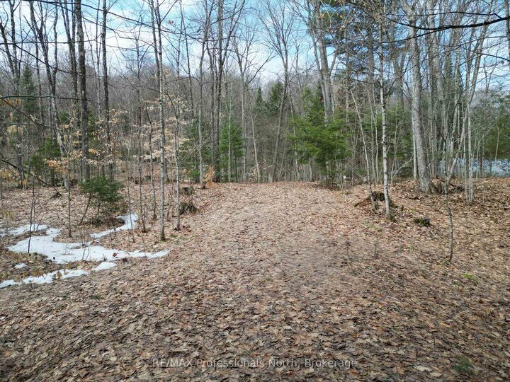 Property Photo:  1231 Big Hawk Lake Road  ON K0M 1J2 