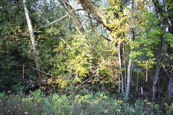 Property Photo: V/L 20.9ac Butler Road MI 49721