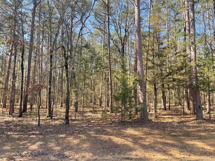 Property Photo: 000 Santa Lucia Drive AR 72088