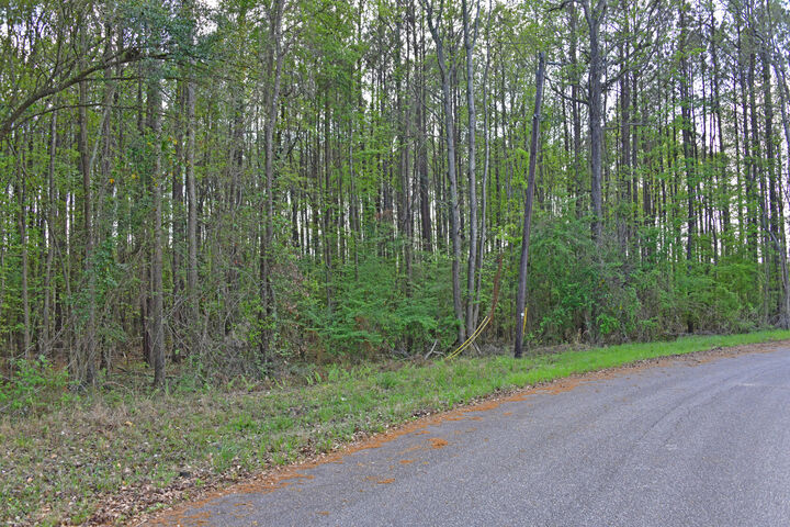 Property Photo:  0 Ridgelake(Lot 29) Circle  SC 29135 