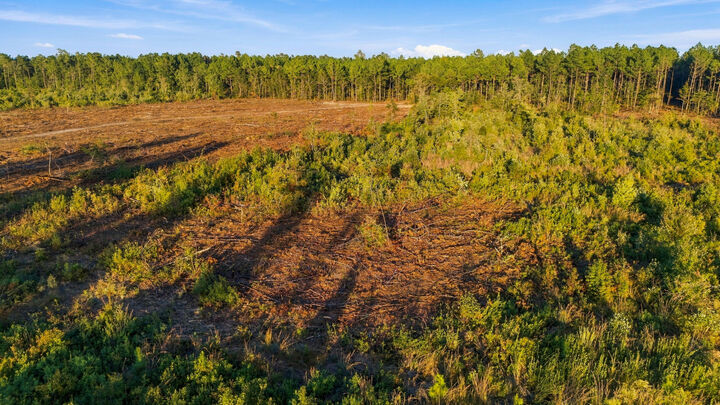 Property Photo:  0 Tom Crib Rd  SC 29510 