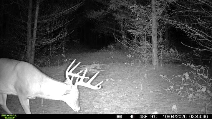 Property Photo:  0 Township Rd 329  OH 43730 