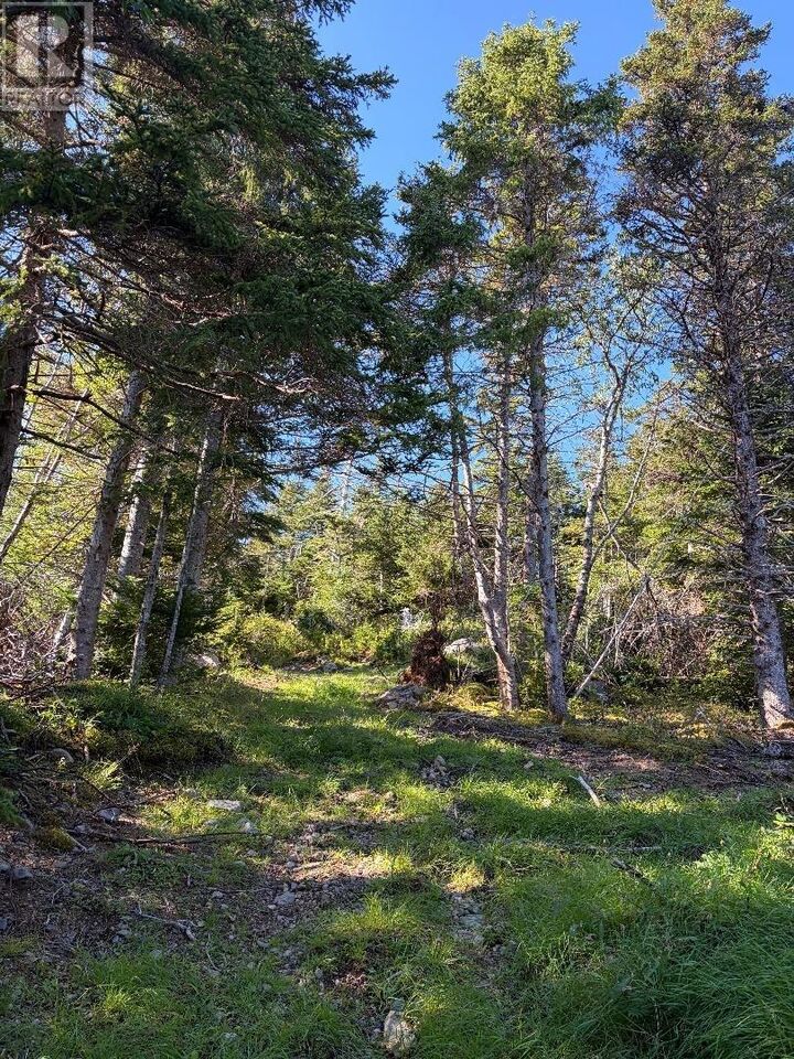 Property Photo:  52 Barry's Island North  NL A0A 1B0 