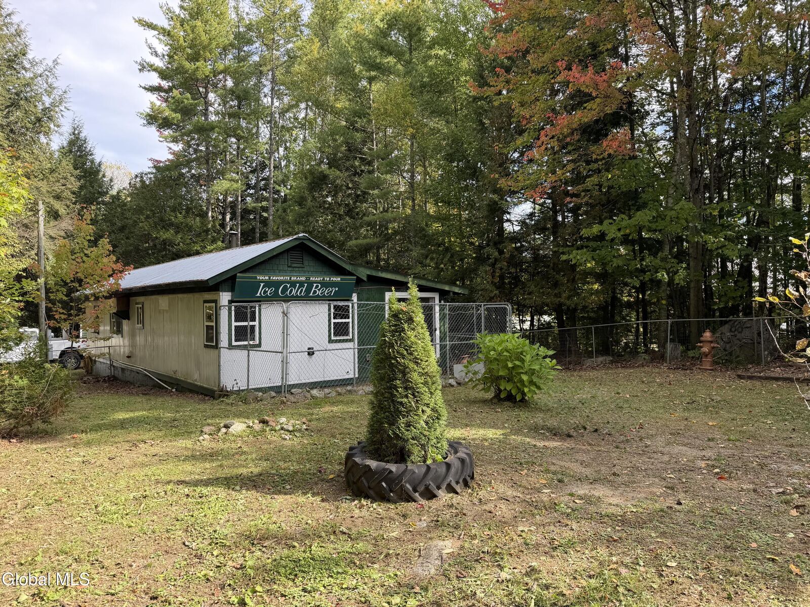 Property Photo:  1384 Charley Hill Road  NY 12870 