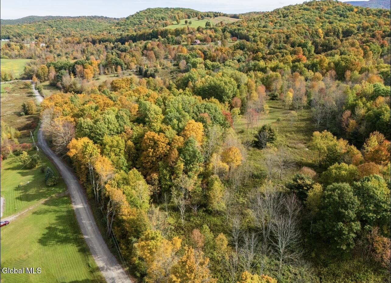 Property Photo: L23 Blossom Rd Road NY 12865
