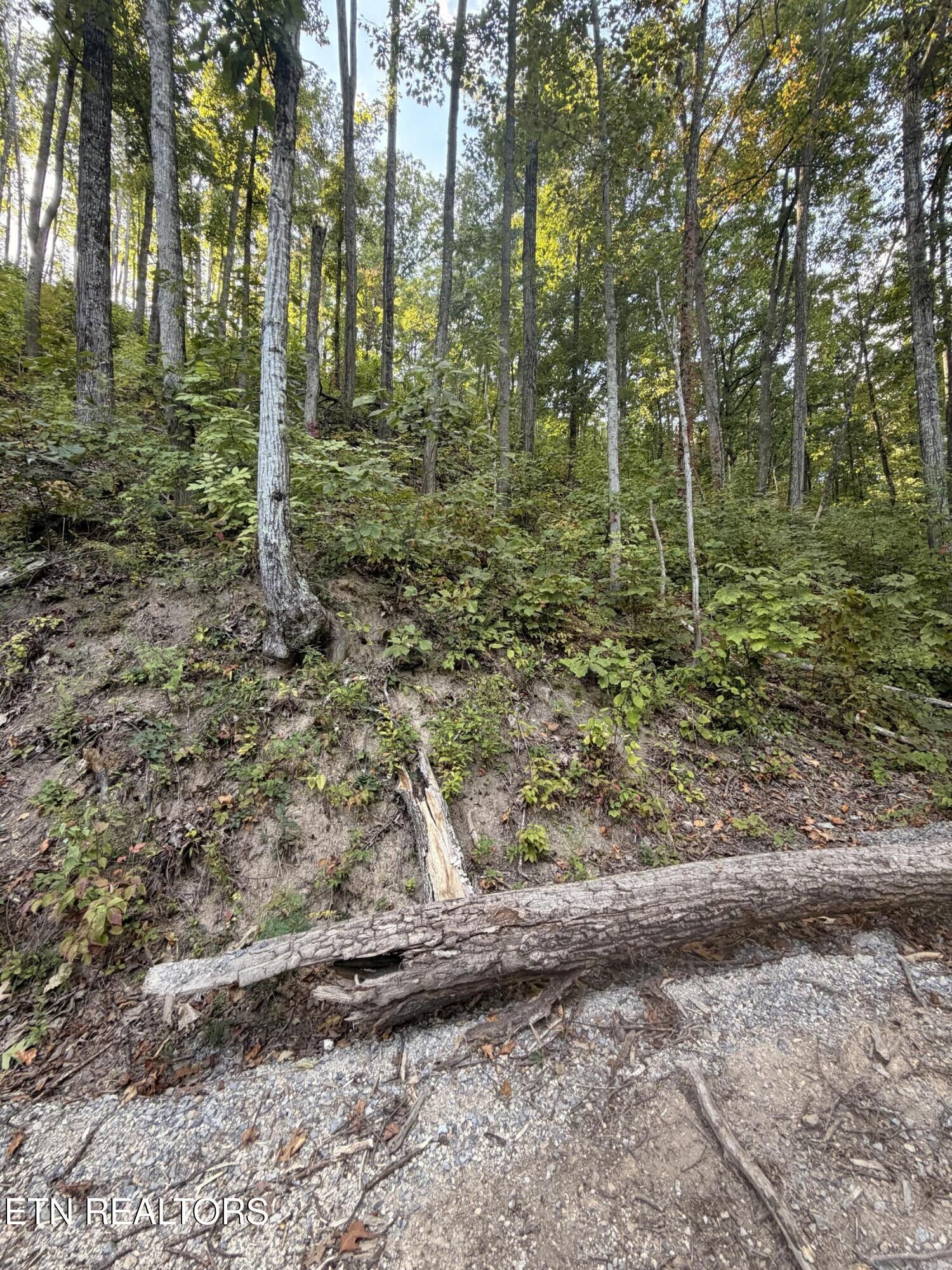 Property Photo: Whipoorwill Hill Way 28 TN 37862