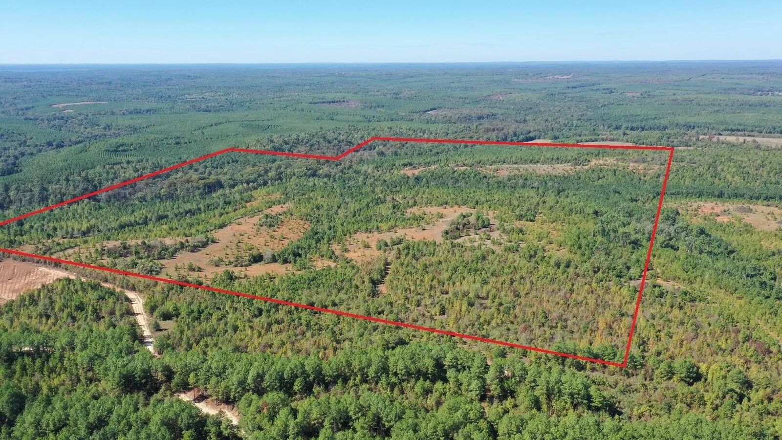 Property Photo:  0 Easement Rd Off Cr 1648  TX 75657 