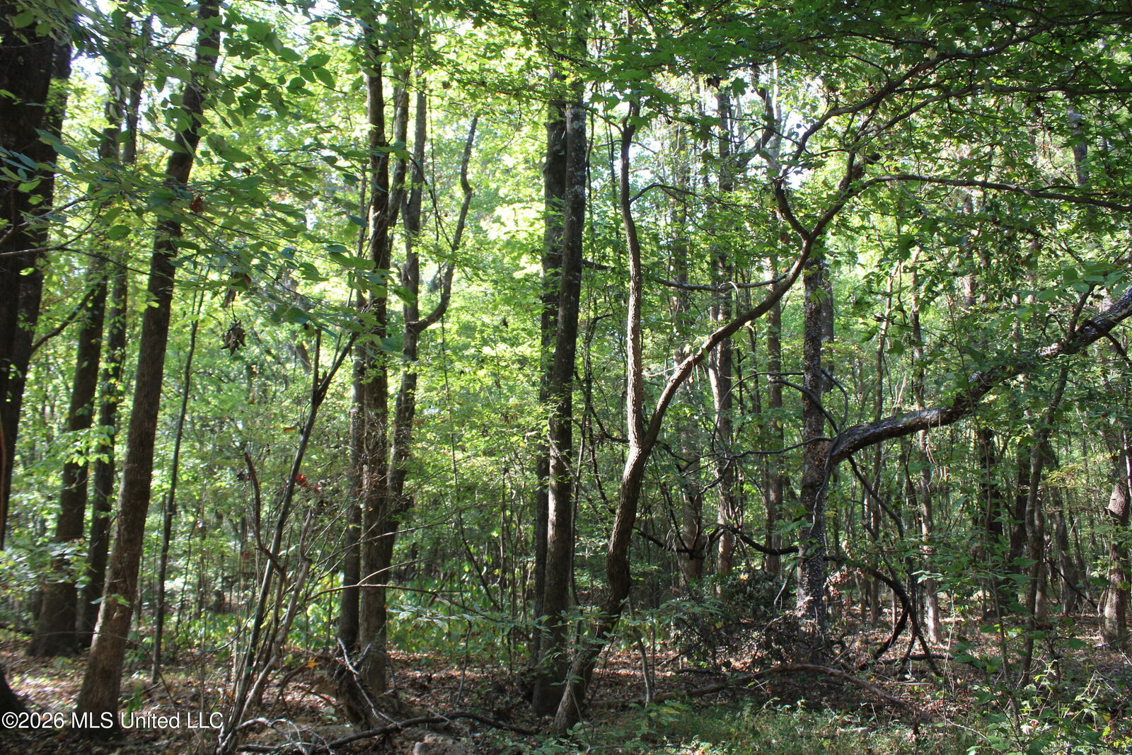 Property Photo:  7 Star Landing Road  MS 38651 