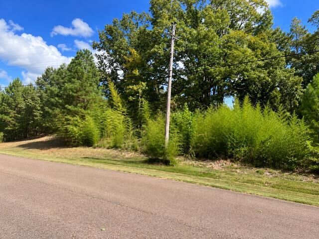 Property Photo:  425 Hickory Woods Ln  TN 38028 