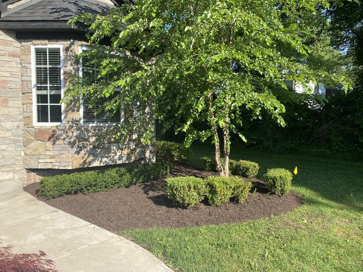 Property Photo: 9915 Wayne Road MI 48150