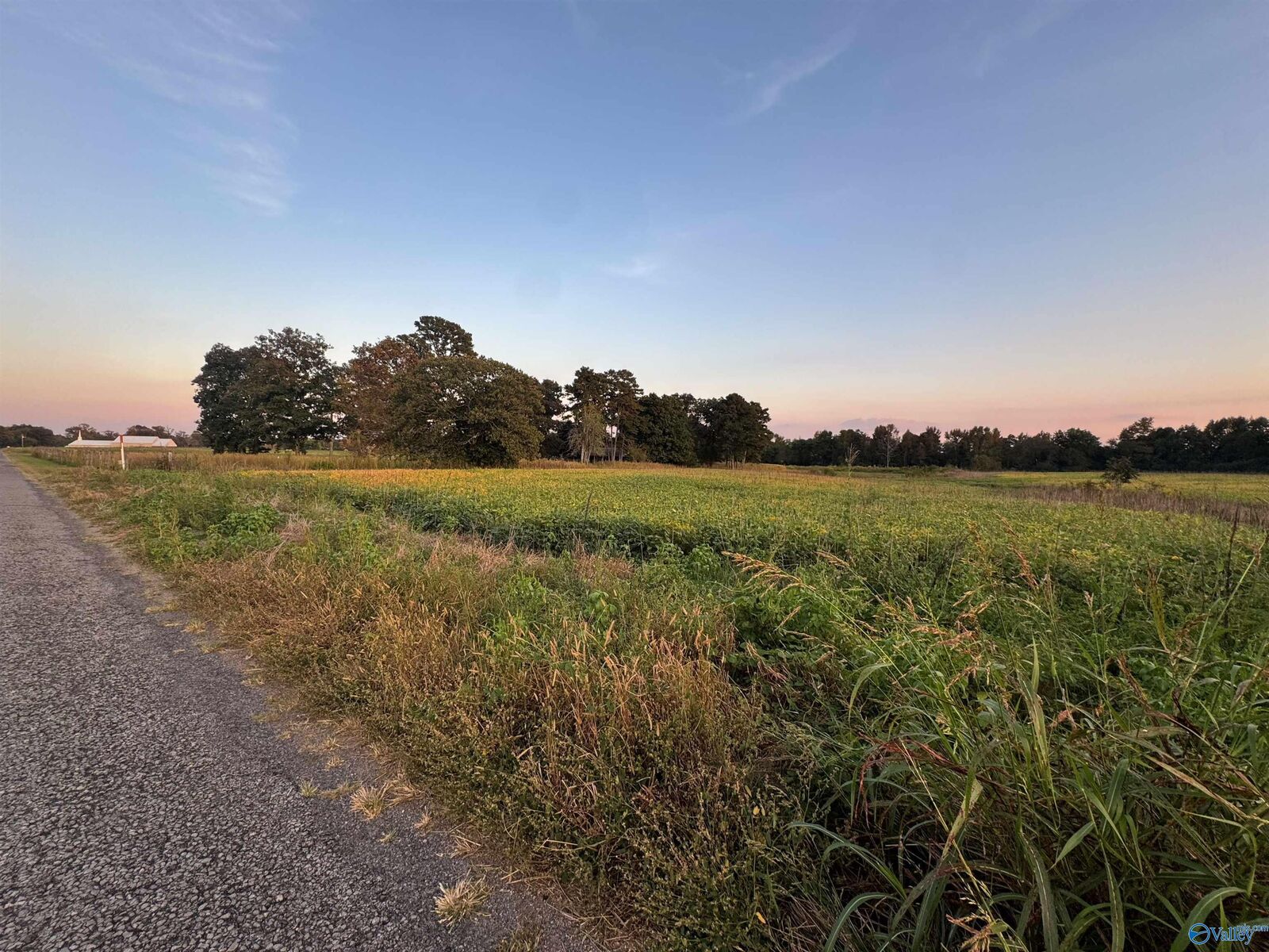 Property Photo:  6acres County Road 337  AL 35771 