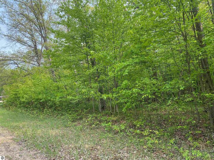 Property Photo:  Fribourg Drive  MI 49677 