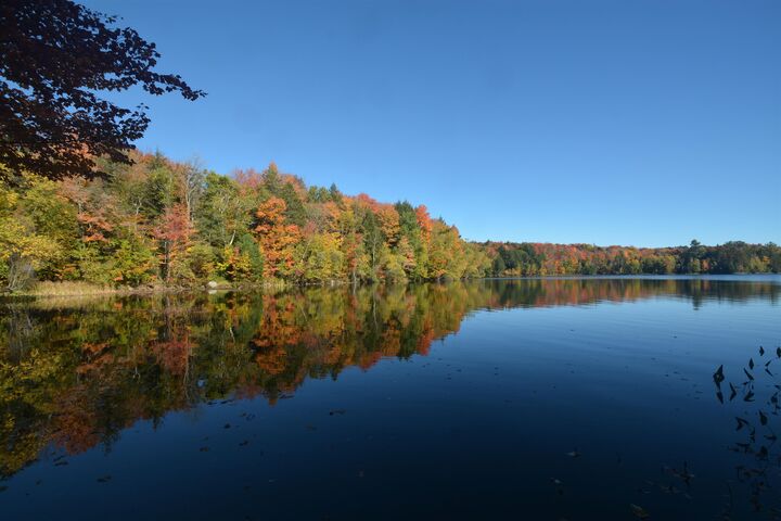 Property Photo: 15 Shore Road NH 03748