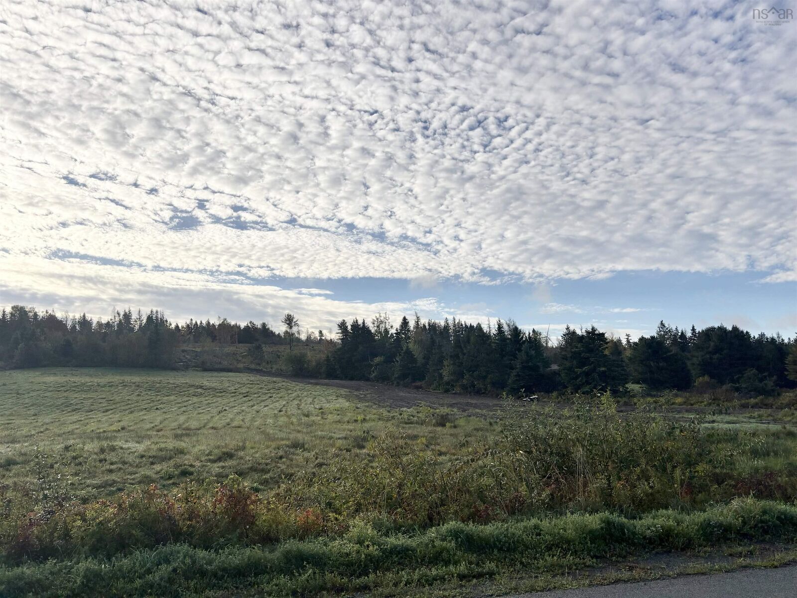 Property Photo:  Lot Tanner Hill Road  NS B0K 1R0 