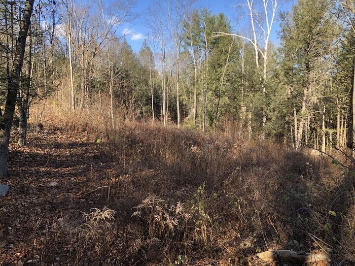 Property Photo: 0 Potato Hill Road MA 01473