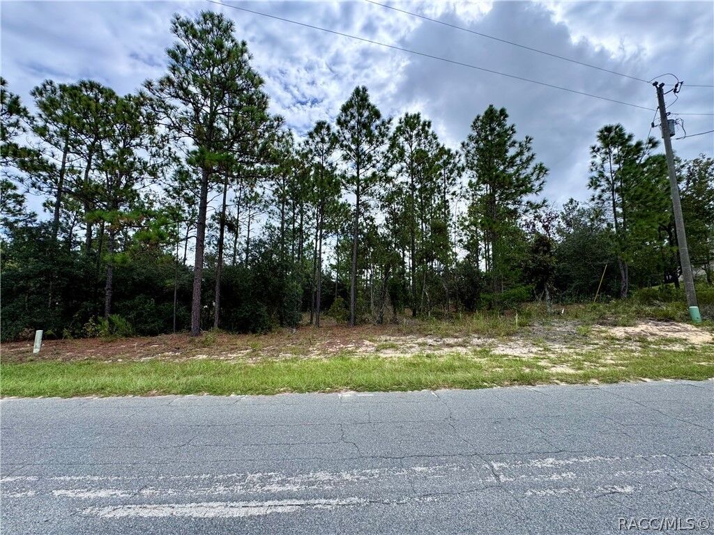 Property Photo:  10250 N Spaulding Drive  FL 34433 