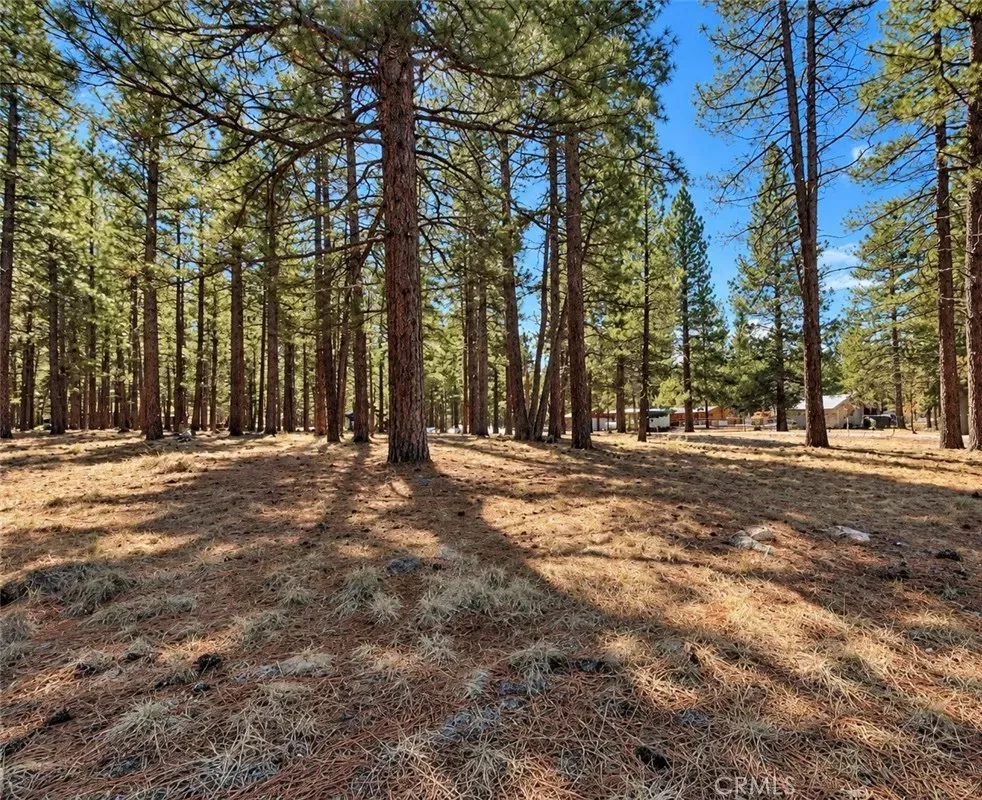 Property Photo:  687 Maple  CA 96130 
