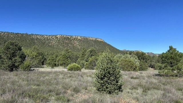 Property Photo:  6 Acres Off Of Nm 34  NM 87562 