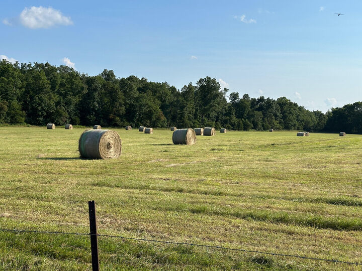 Property Photo:  4420 State Route Dd  MO 65793 