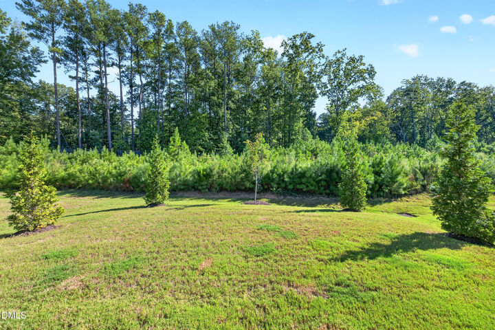 Property Photo:  945 Coast Grade Street  NC 27587 