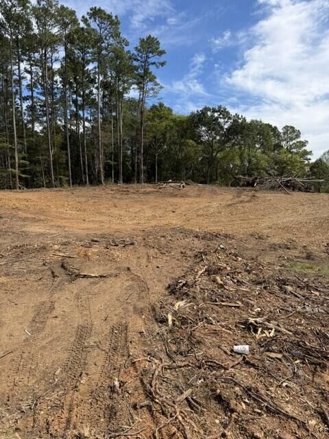 Property Photo:  Tract 2 Groves Road  GA 30721 