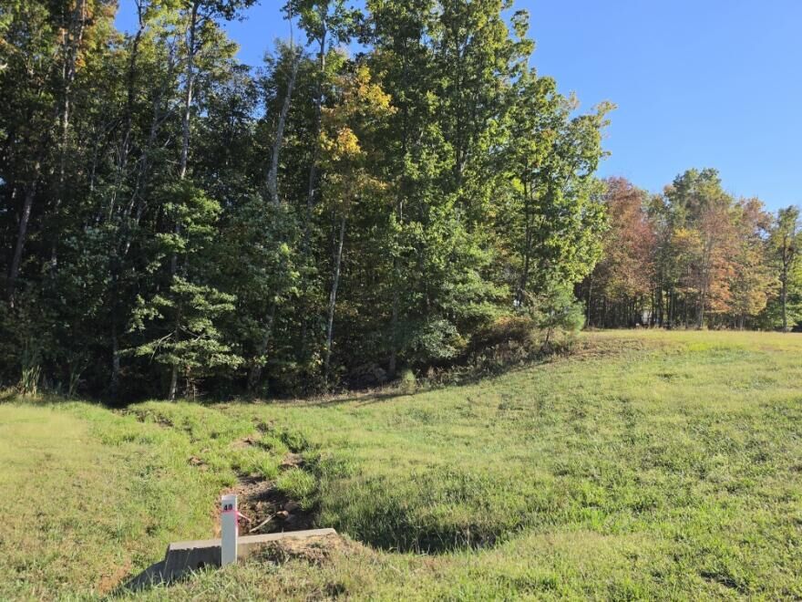 Property Photo:  0 River Bluffs Drive  TN 37347 