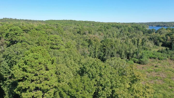 Property Photo:  282 County Road 1511  TX 75630 