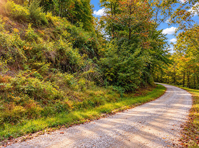 Property Photo: 0000 Big Wildcat Road KY 40962