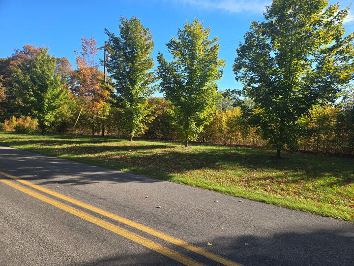 Property Photo: Parcel A N 72nd Avenue N MI 49420