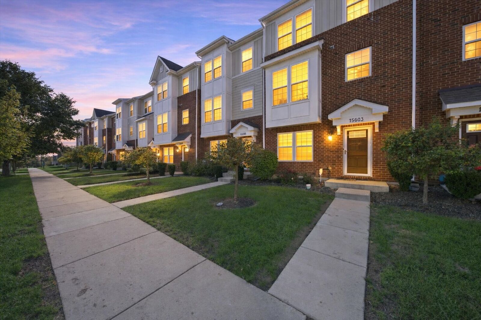 Property Photo:  15603 Alice Mae Court  IL 60462 
