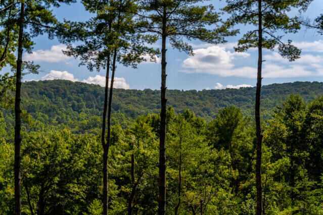 Property Photo:  58 Papa Bear Path  GA 30513 