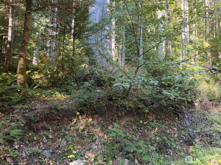 Property Photo:  420  Arabian Drive  WA 98320 