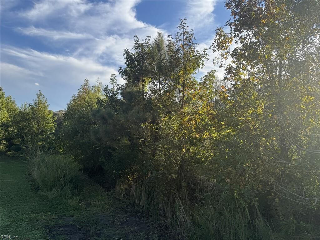 Property Photo:  7acres Back Bay Pungo  VA 23457 