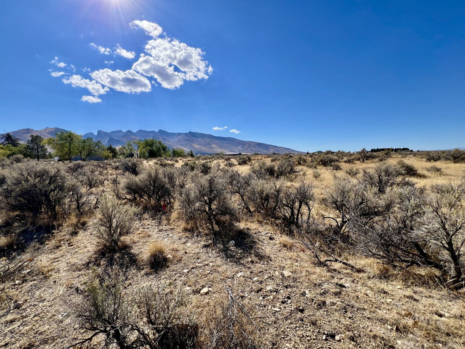 Property Photo:  805 Aesop Drive  NV 89815 