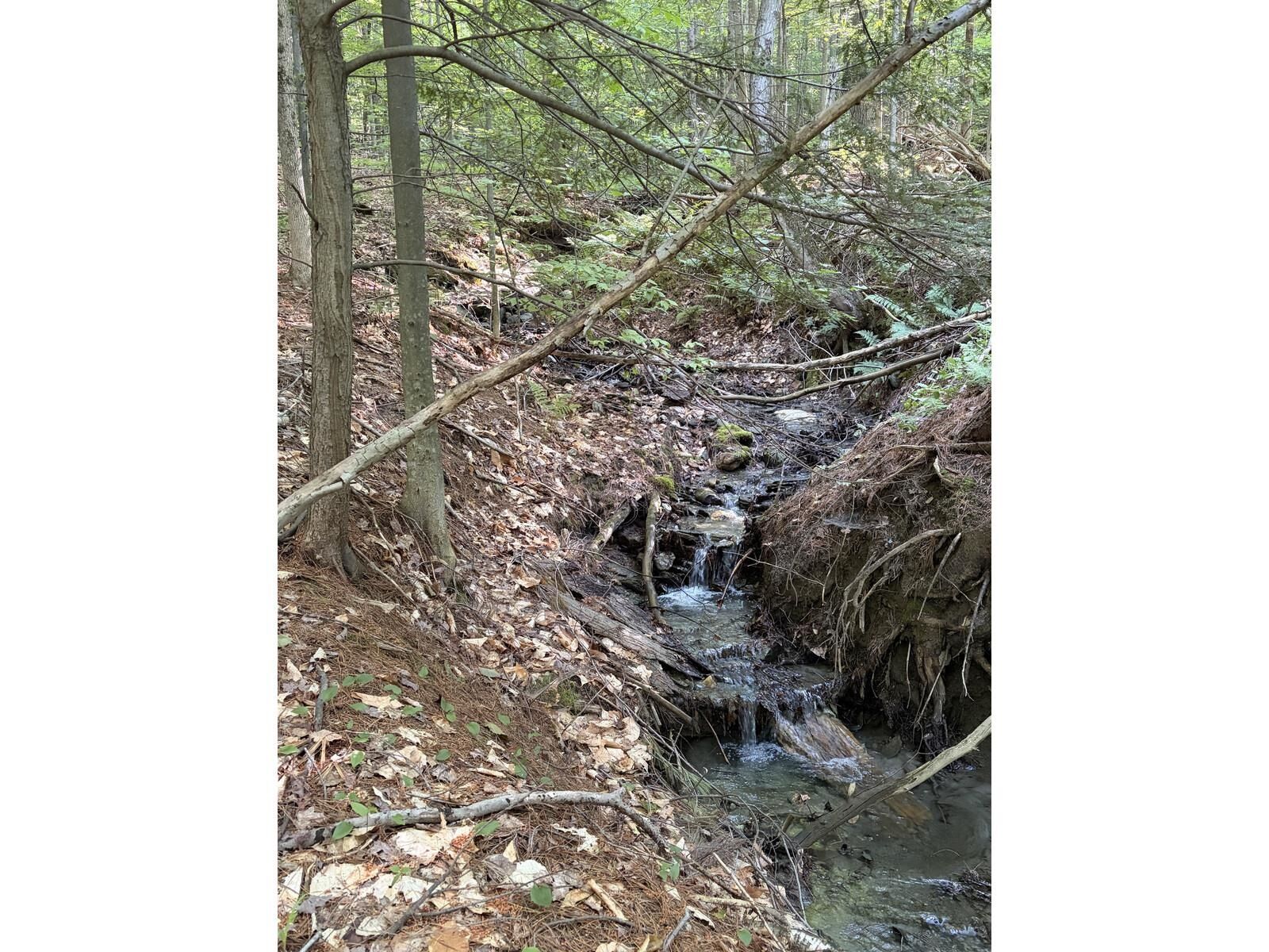 Property Photo: 0 Old Carriage Road VT 05673