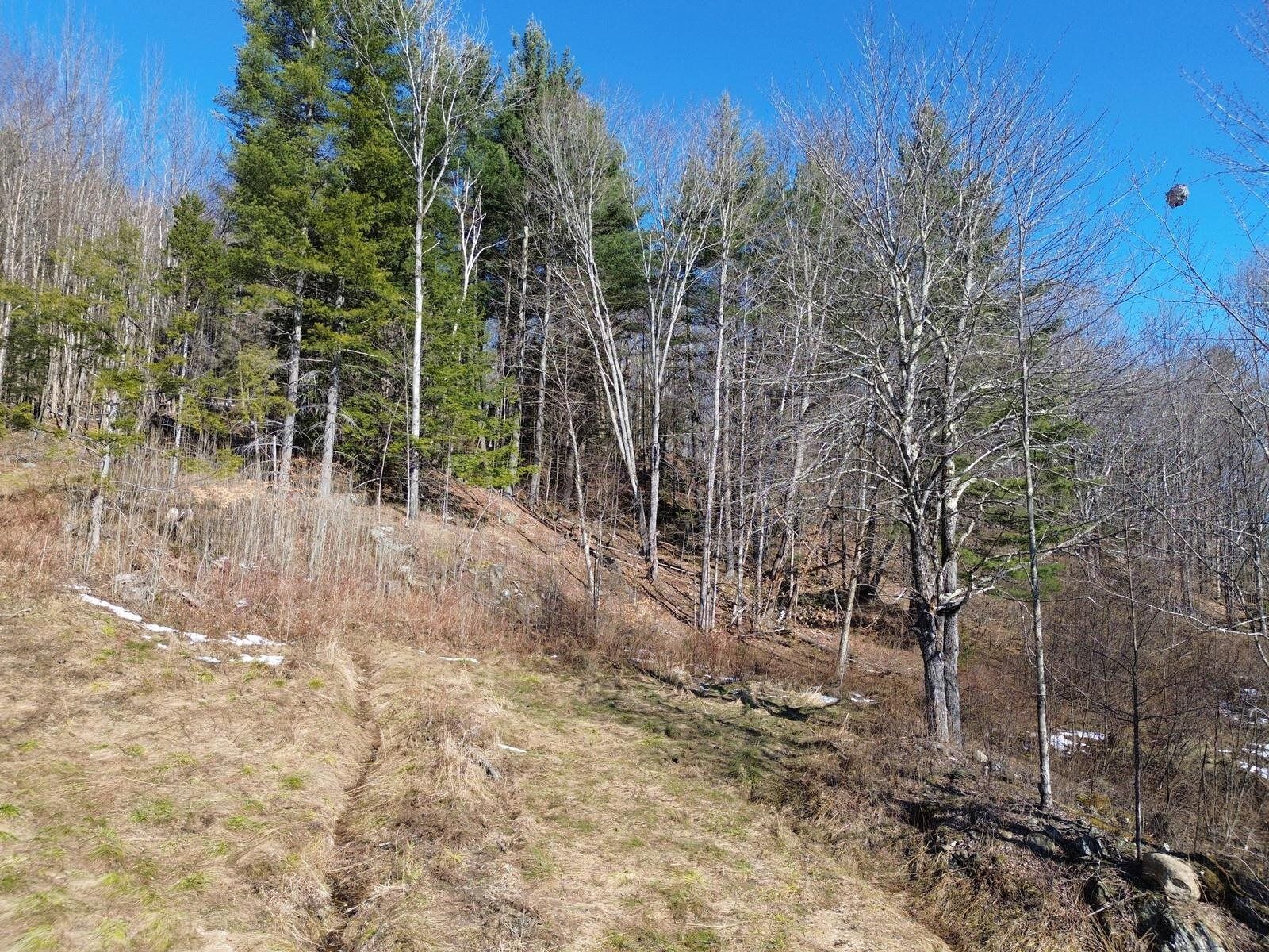 Property Photo: 00 Bent Birch Lane VT 05674