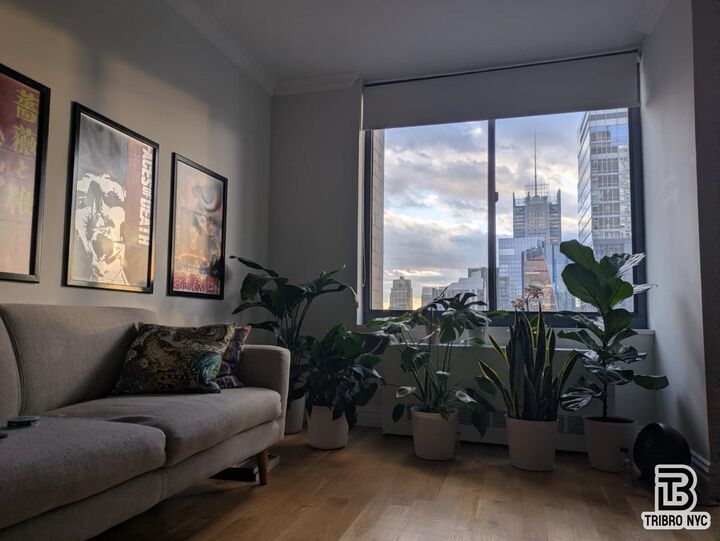 Property Photo: 235 W 48th Street 3H NY 10036