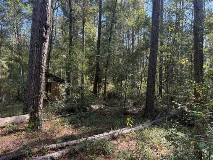 Property Photo: 11818 Willard's Camp Road LA 70654