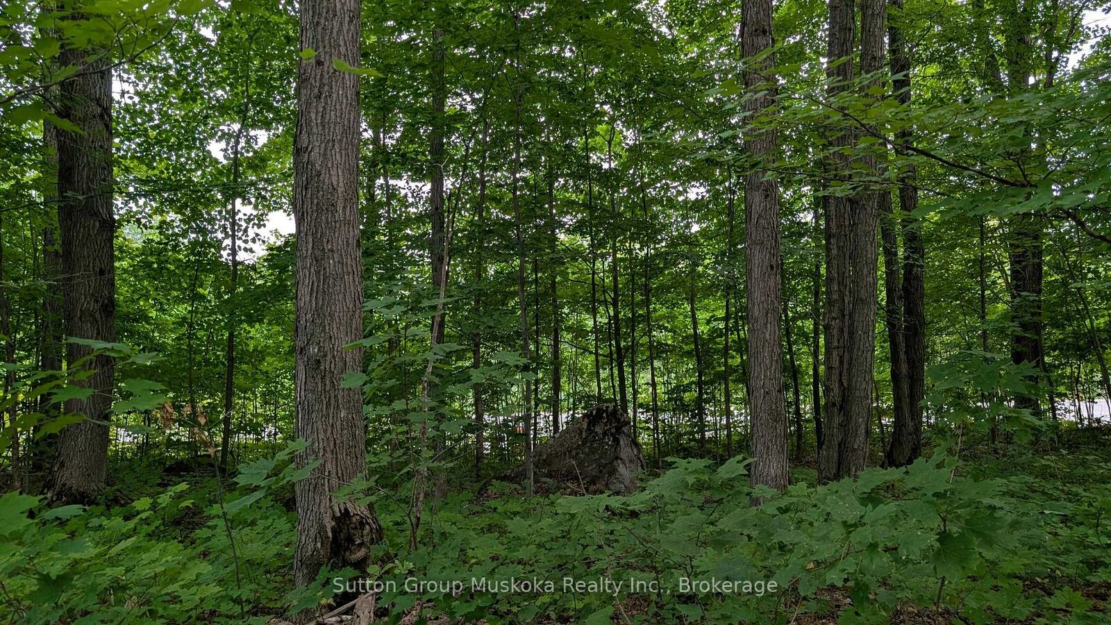 Property Photo:  837 Aspdin Road  ON P1H 0H2 