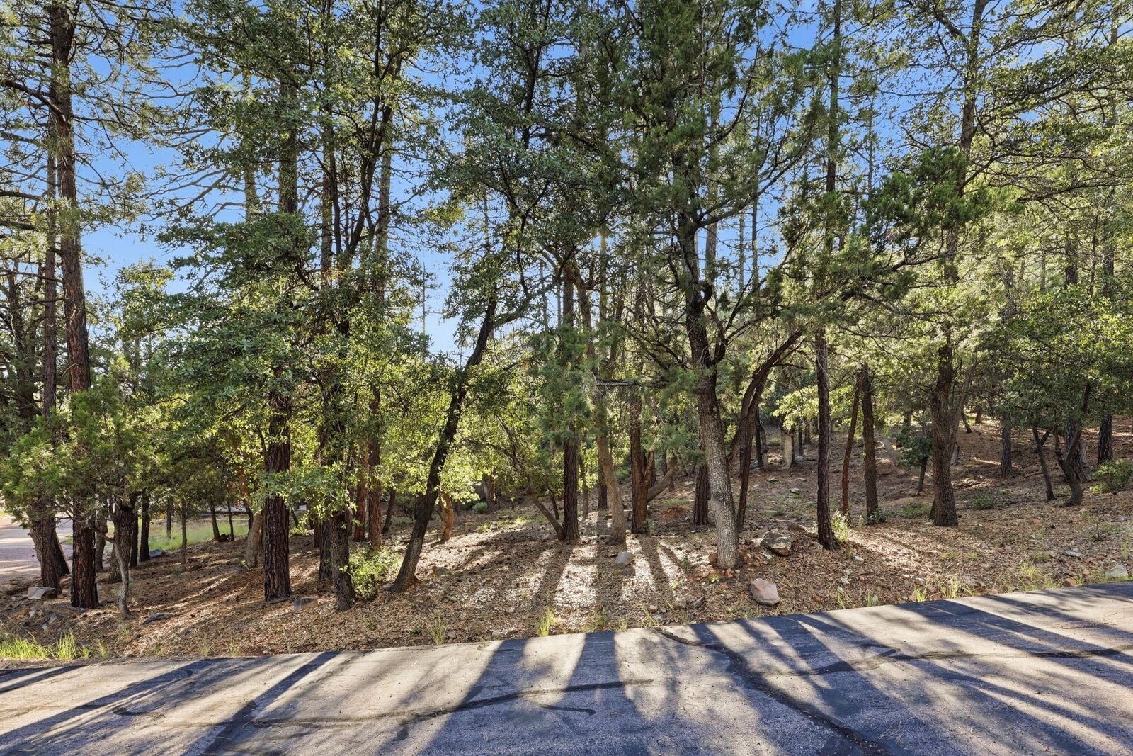 Property Photo: 98 Trails End Drive AZ 85544
