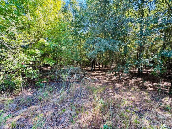 Property Photo: Lot 166 Brangus Lane SC 29520