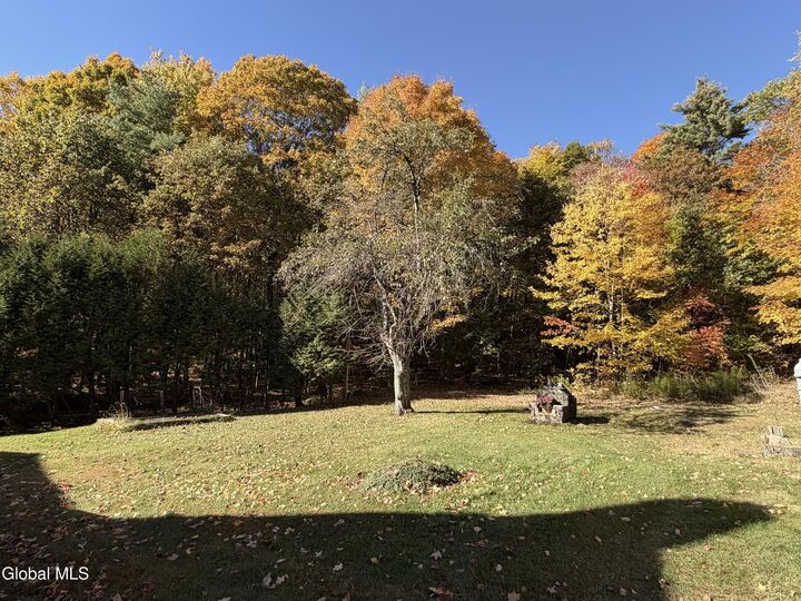 Property Photo:  55 Bartlett Pond Road  NY 12956 