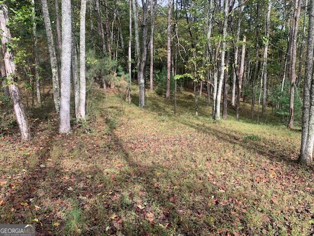 Property Photo:  Lot 132 Fox Cove Road  GA 30512 