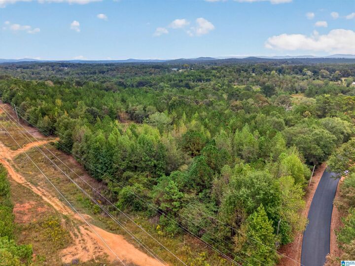 Property Photo:  11 Acres Landmark Road 0  AL 35160 