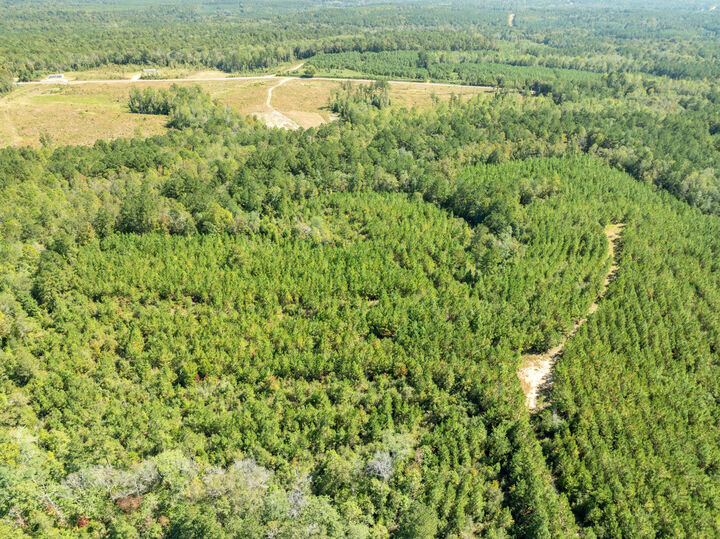 Property Photo: Parcel C Beat 4 Shubuta MS 39360