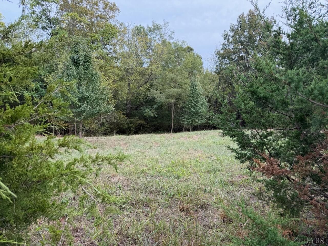 Property Photo:  0 Moneta Road  VA 24121 