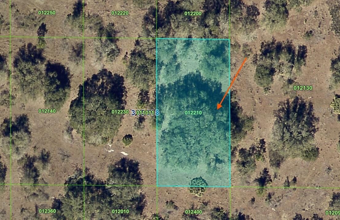 Property Photo: 0000 Lake Wales FL 33843