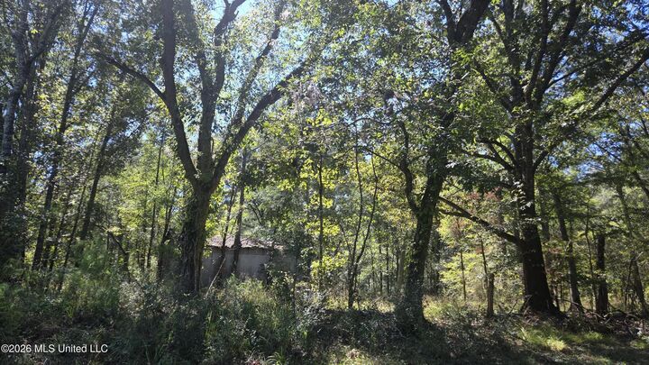 Property Photo: 0 Bill Strong Road MS 39066