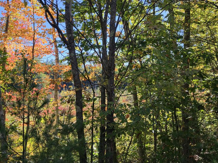 Property Photo:  36 Standish Neck Road  ME 04038 